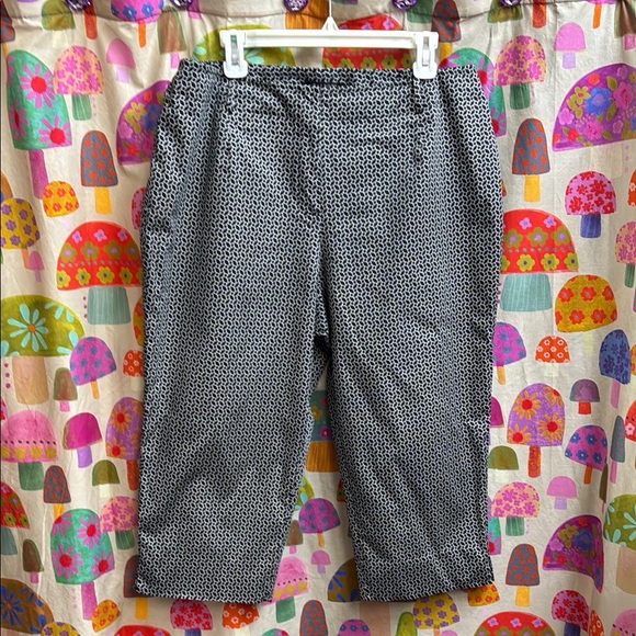 Talbots Pants - Talbots Classic Fit Women's Petite Trousers. Size 18W